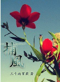 捕风